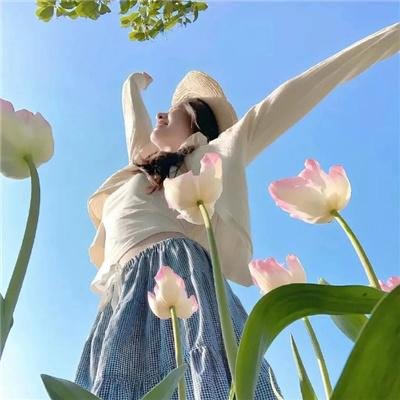 极品假太子（穿越剧）